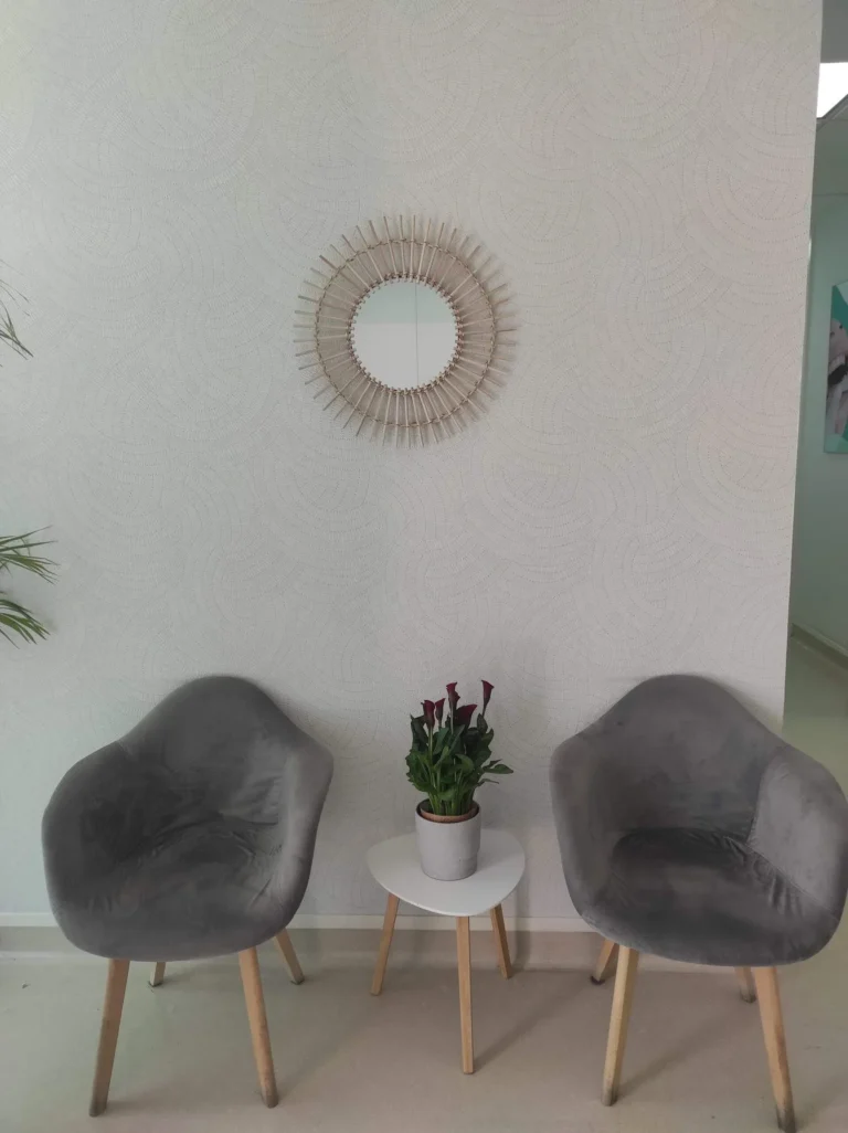 Rincón de la sala de espera con dos butacas y una planta